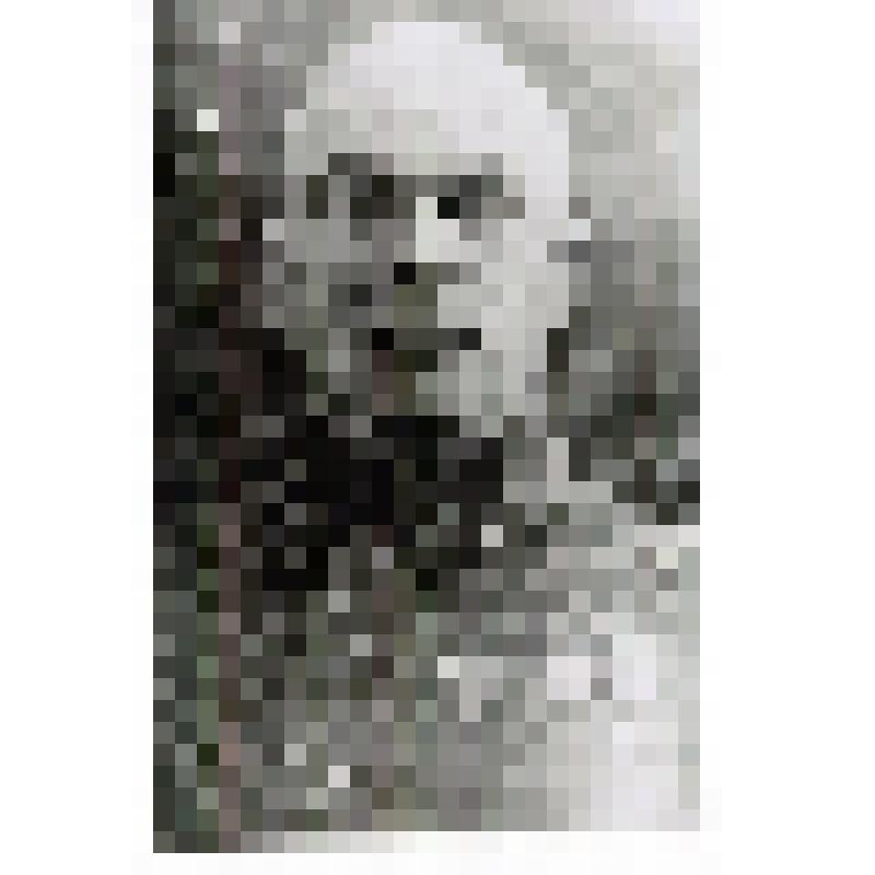 Фотография. Бирюков Н.И. - Герой Советского Союза, командир 214-й СД