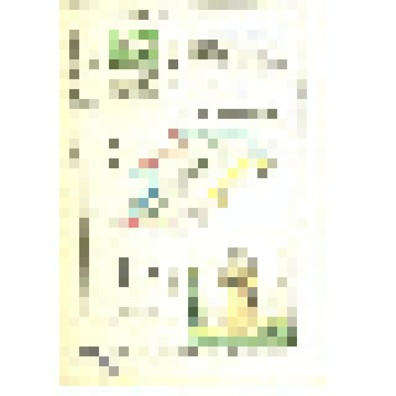 Енисейская губерния