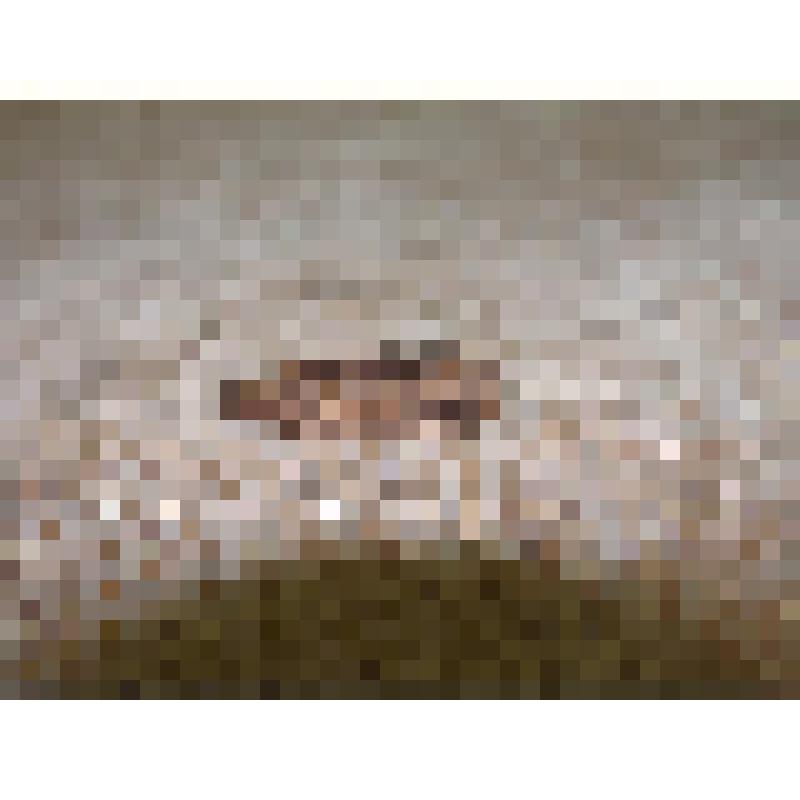 Наконечник стрелы