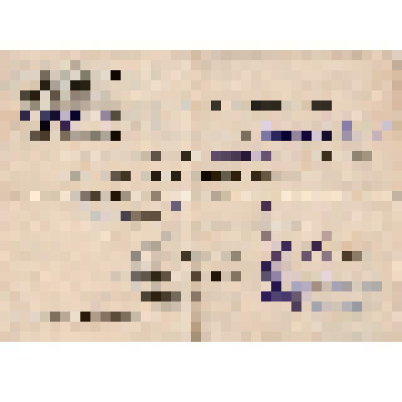 Удостоверение N 099 Самойлова Н.И. об окончании курсов повышения квалификации колхозных работников