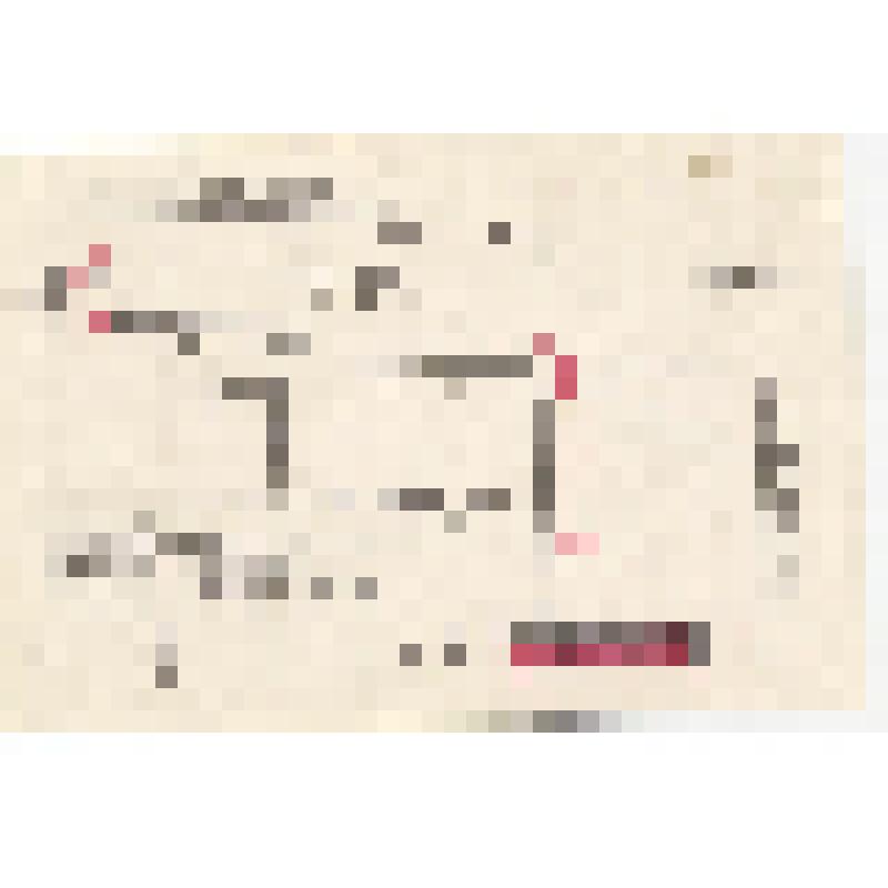 Календарь карманный на 1997 год .  "ООО "Автоуслуги" поздравляет с наступающим Новым 1997 годом!"