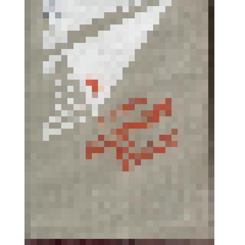 Книга. «Вставший на крыло».  История и люди одного завода". Средне-уральское книжное издательство. Типография «Уральский рабочий». 1979 год