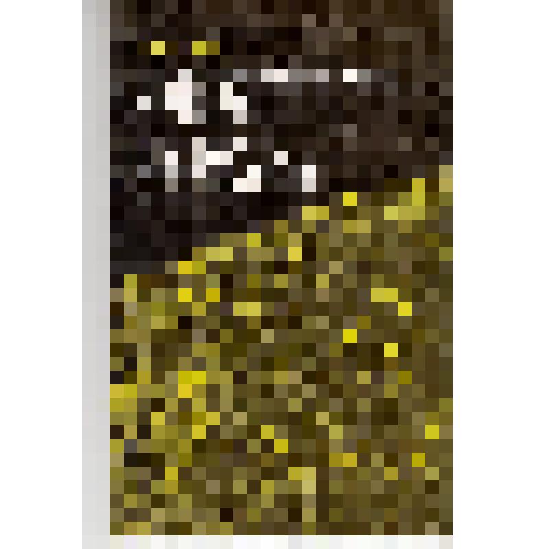 Брошюра. Бурба Г.А.
Номенклатура деталей рельефа Меркурия