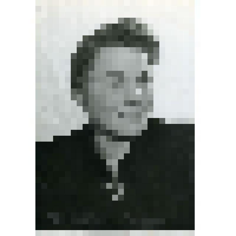 Фотография. Звеньевая А.Е. Шипкина