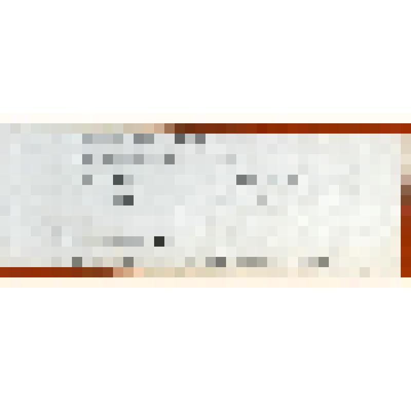 Фотография. Звеньевая А.Е. Шипкина