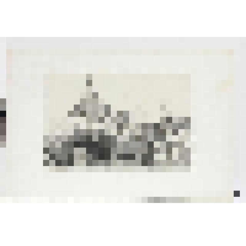 Литография. "Санкт-Петербург. Обитель Святого Александра Невского."