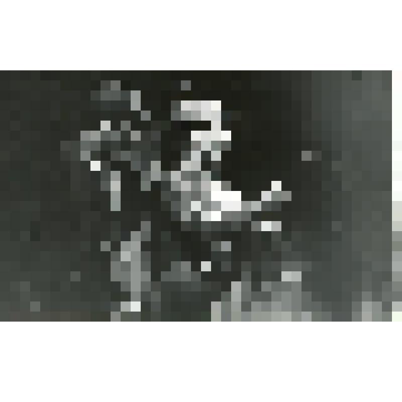 Фотография. Сцена из спектакля. Москва, Центральный детский театр (ЦДТ)