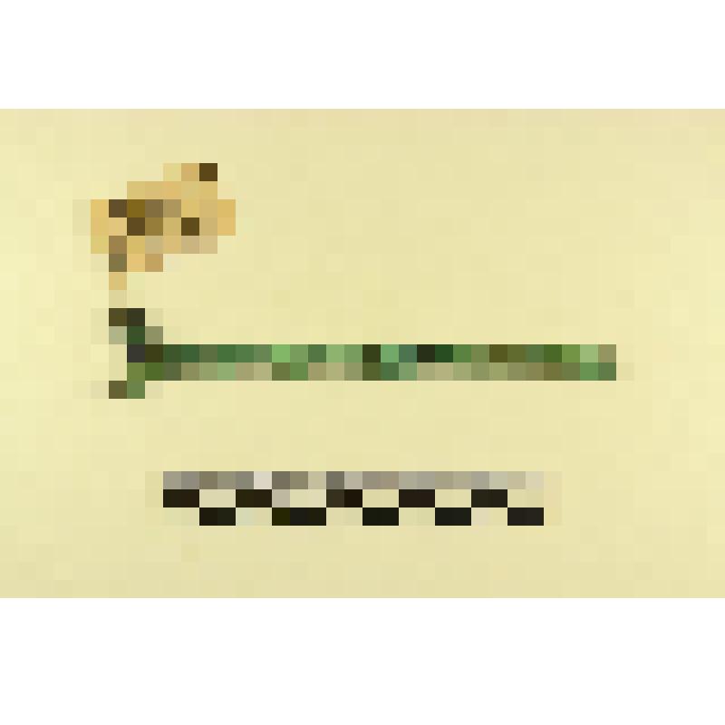 Бронзовая булавка