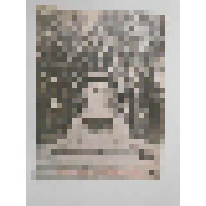 Памятник Эгмонту и Хорну. Бельгия, г. Брюссель. Памятник Эгмонту и Хорну. Общ. вид