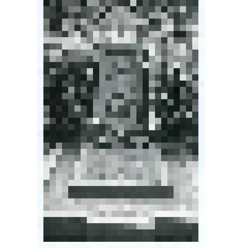 Фотография. Надгробный памятник Таирова А.Я. на Новодевичьем кладбище. Москва