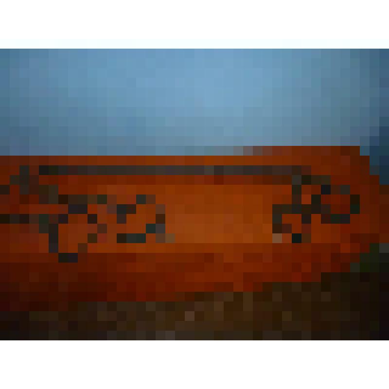 Кандалы
для  двух  человек