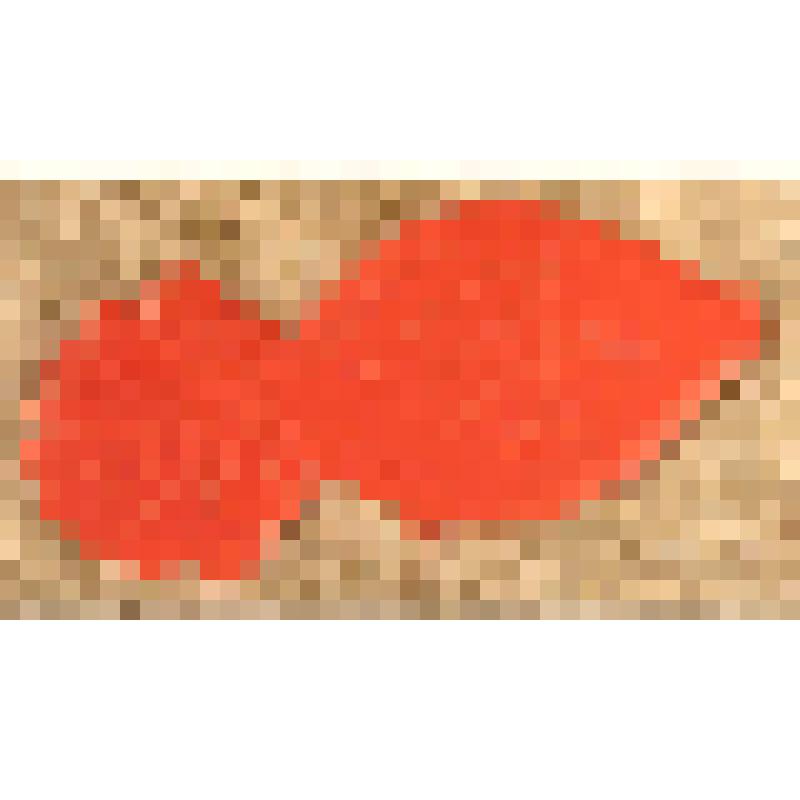 Игрушка елочная «Рыбка», из коллекции елочных игрушек и украшений