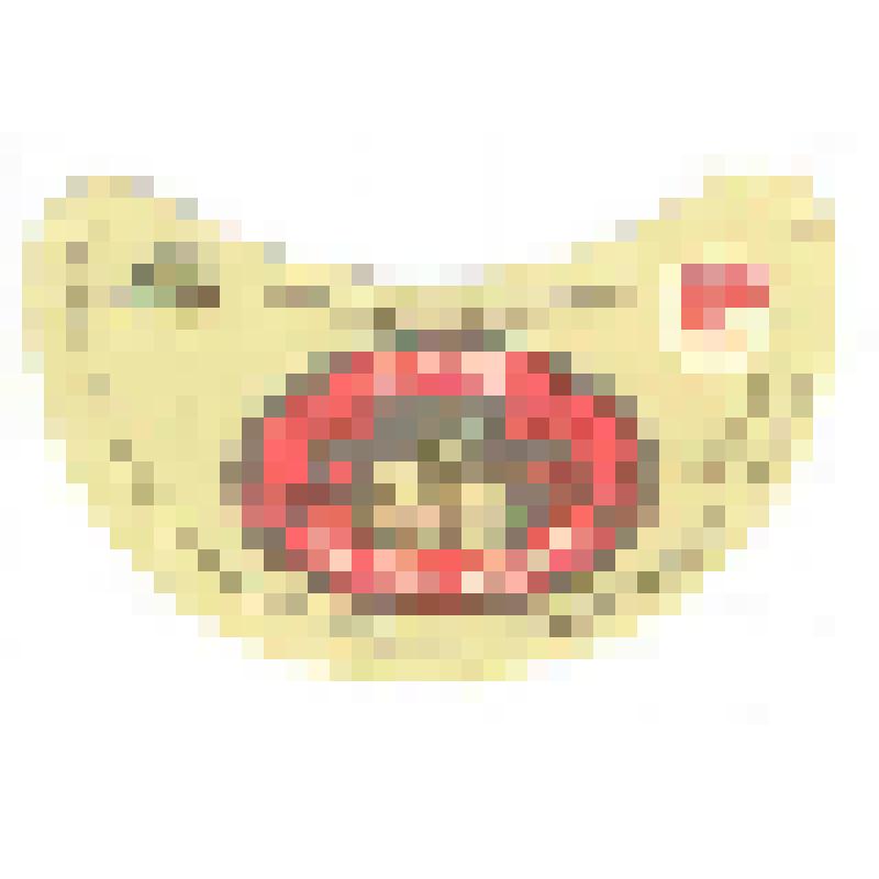 Кольеретка «Пиво Славянское» к напитку производства Великолукского пивзавода, из коллекции кольереток - этикеток горловых к бутылкам для пива