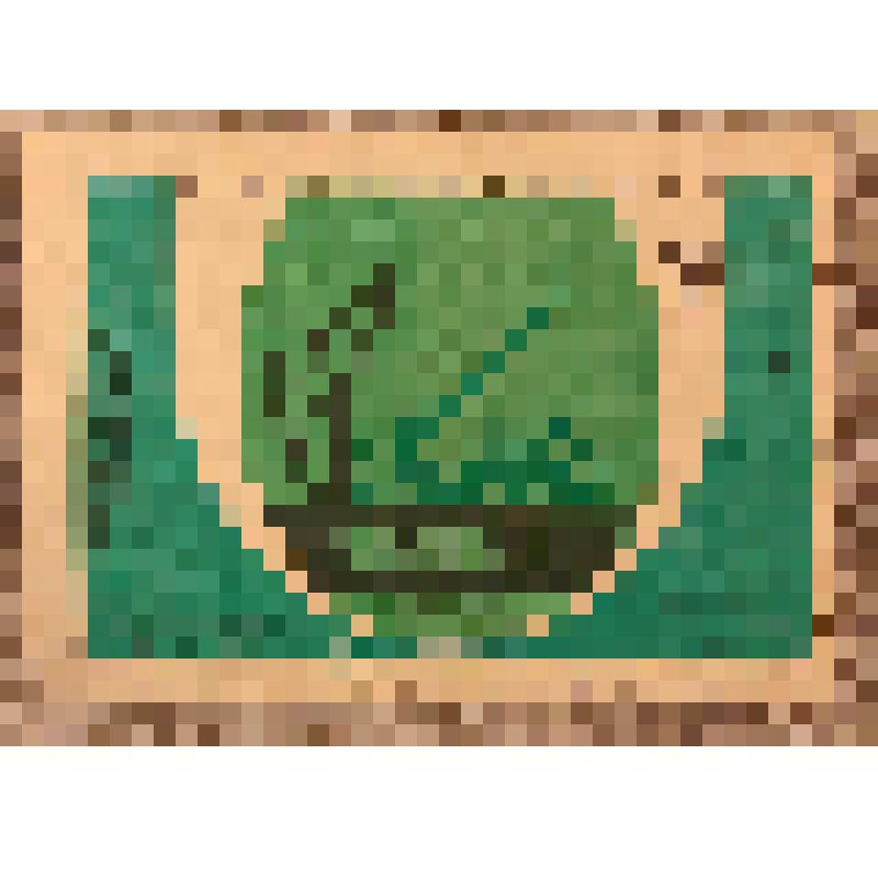 Этикетка бутылочная к напитку «Тархун» производства Казпивзавода, из коллекции этикеток бутылочных к минеральной воде, безалкогольным напиткам, сокам, сиропам