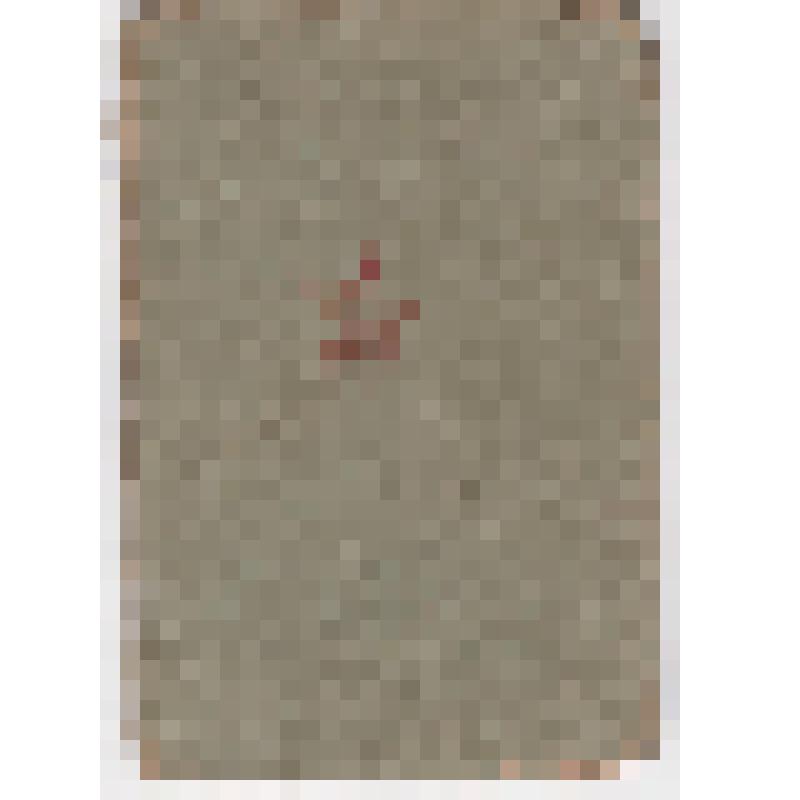 Красноармейская книжка Шумилова Алексея Федоровича