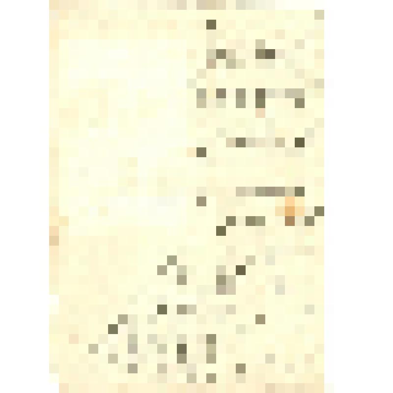 Письмо в стихах Степановой А.И