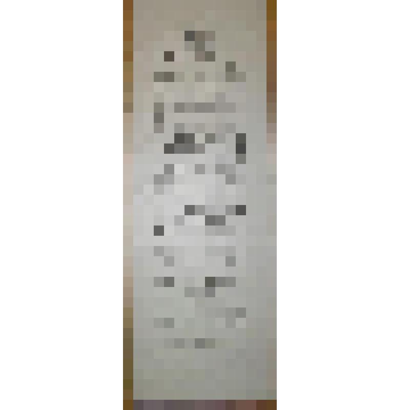 Программа с исполнителями. "Черевички" (Режиссер - П.П.Штробиндер); "Борис Годунов"; "Фауст". Архангельск, Коммерческое собрание; Антреприза, Русская опера. Дирекция А.Н.Дракули и Д.Д.Друзякин