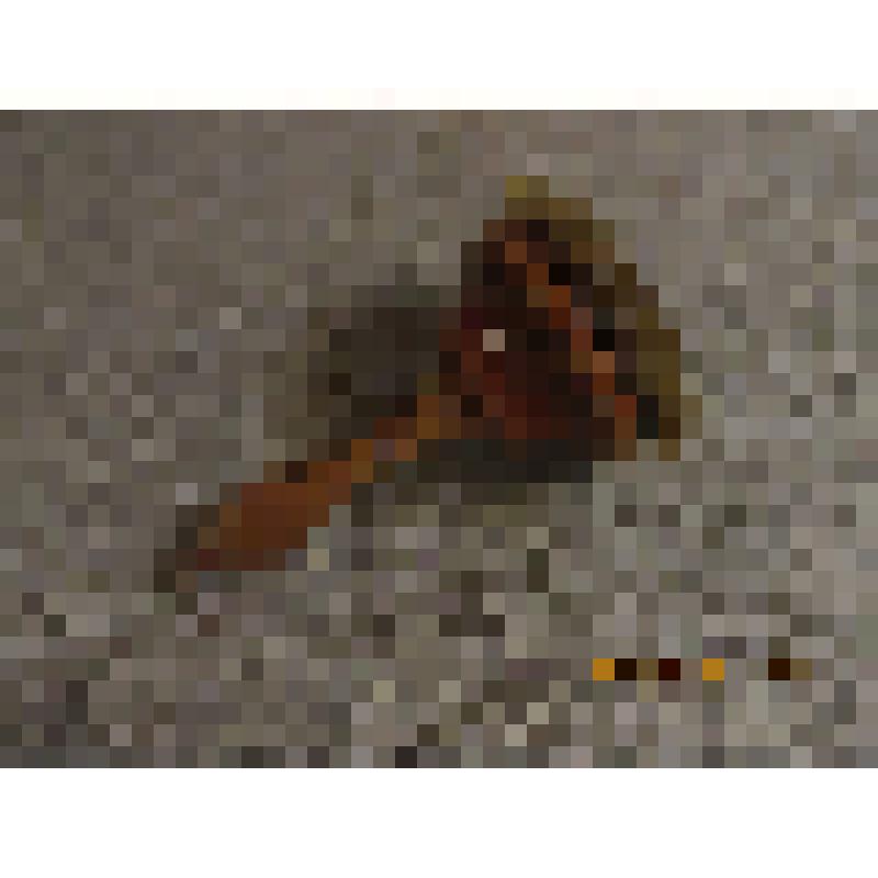 Щеть для чесания льна