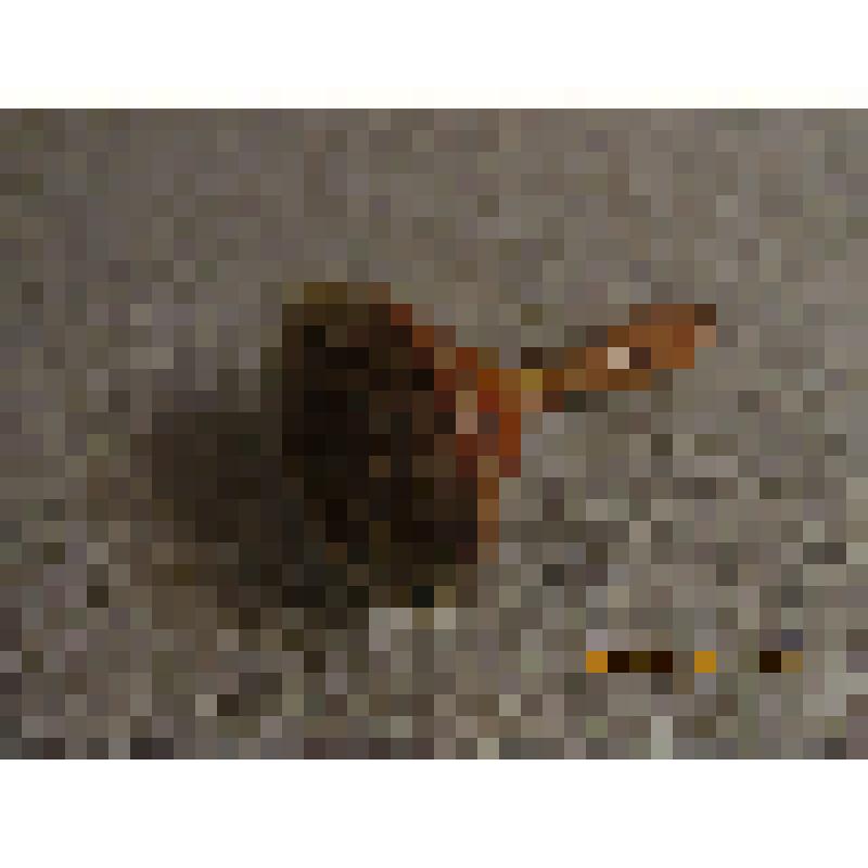 Щеть для чесания льна