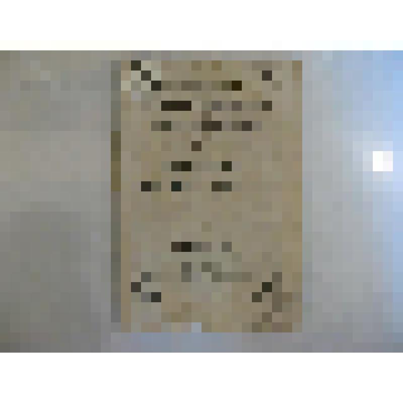 Брошюра. Supplement au catalogue des livres de L' Academie Imperiale des sciences de St. - Petersbourg publie en 1854 = Прибавление к Каталогу, изданному в 1854 г. - St. - Petersbourg : Se distribue gratis chez les commissionnaires de I ' Academie Imp. de