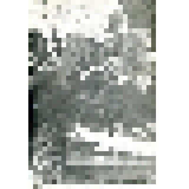 Семья обдорских остяков за поеданием рыбы. Фотография