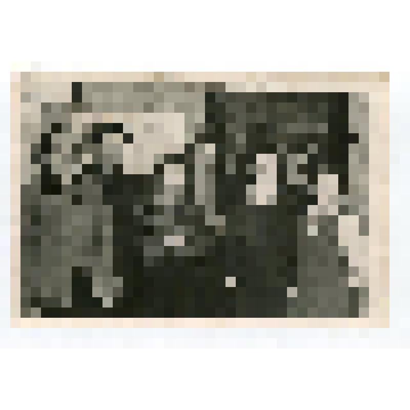 Фото групповое. Члены коллектива редакции газеты «На колхозной стройке»