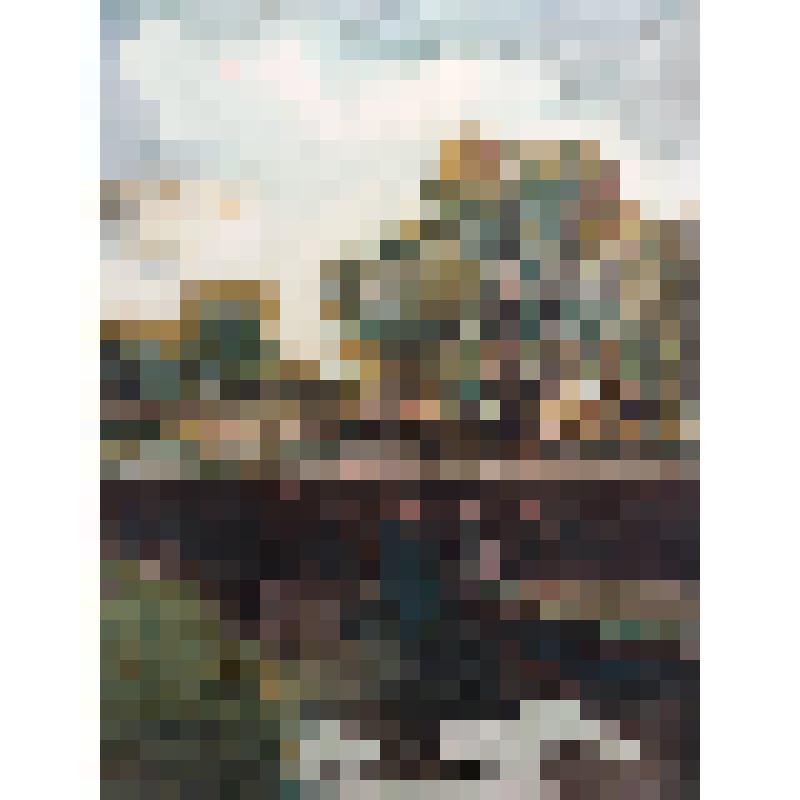 Акварельный рисунок.Этюд