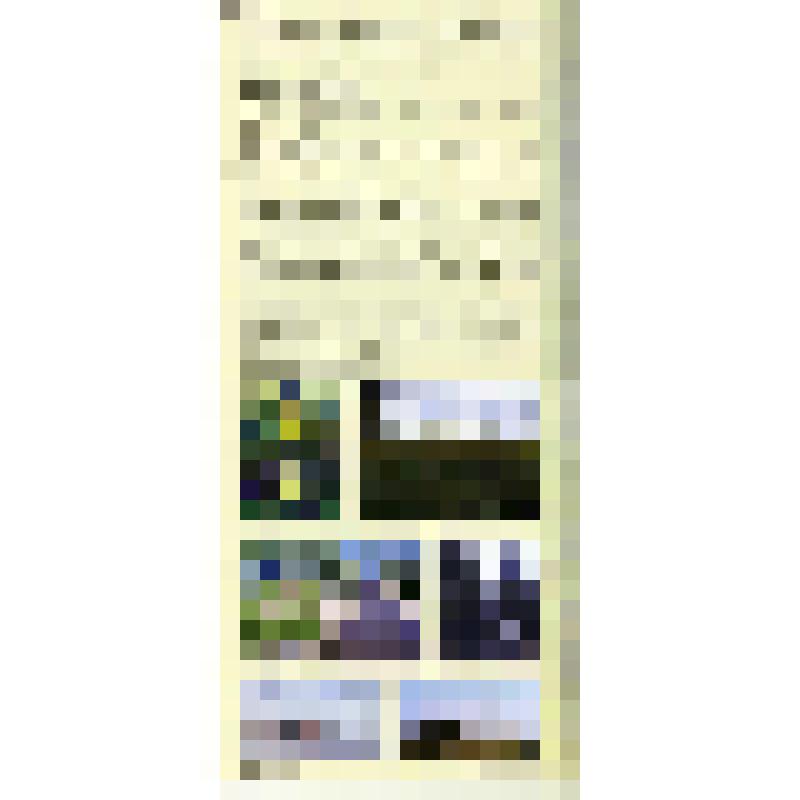 Вкладыш "Национальный парк "Русский Север" из буклета "От Мариинки до Волго-Балта. Природное наследие" Издательский дом "Вологжанин", 2010 г