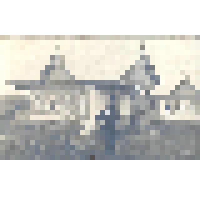 Фотография. Портрет мужчины перед домом