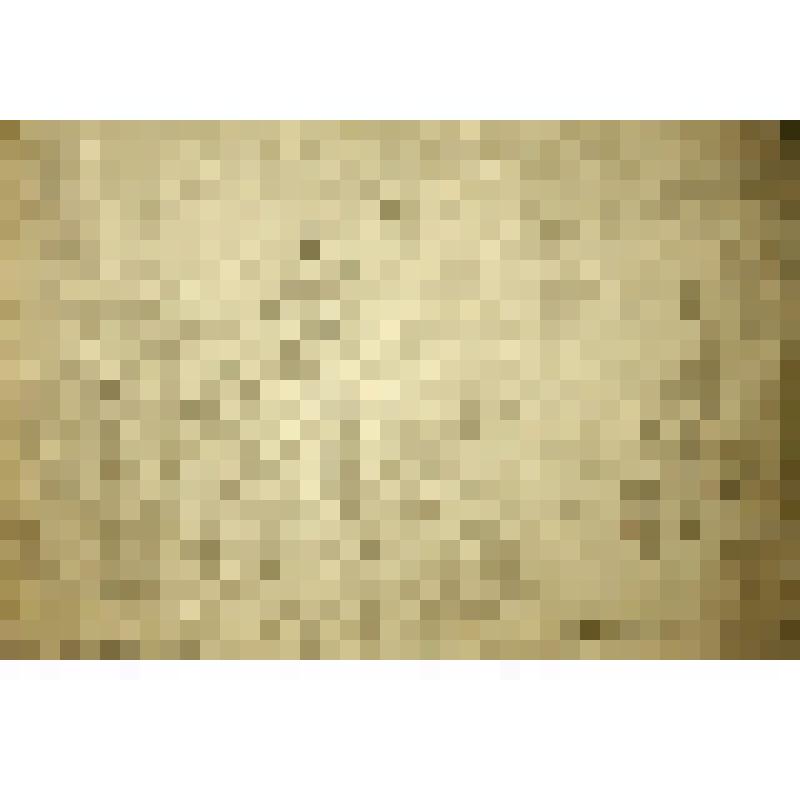 Набросок. Первомайский концерт. Западный фронт