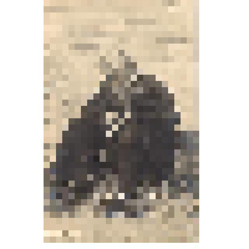 Открытка. М.Горький "На дне". Лука - арт. Москвин