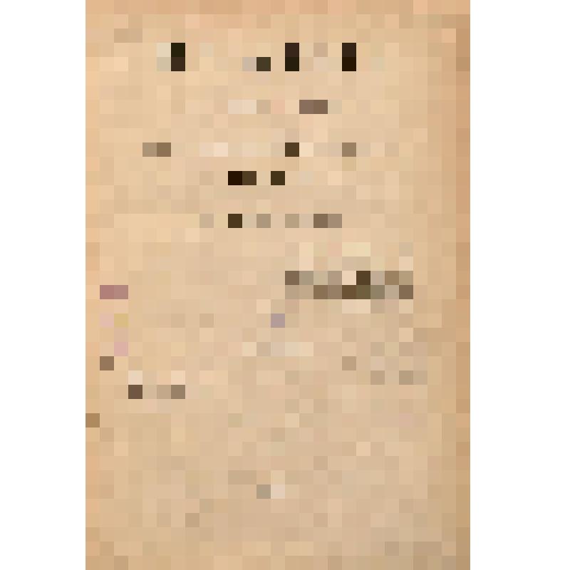 Книга. Пугачев и его сообщники. : Эпизод из истории царствования имп. Екатерины II. 1773-1774 гг. По неизданным источникам. Т.1