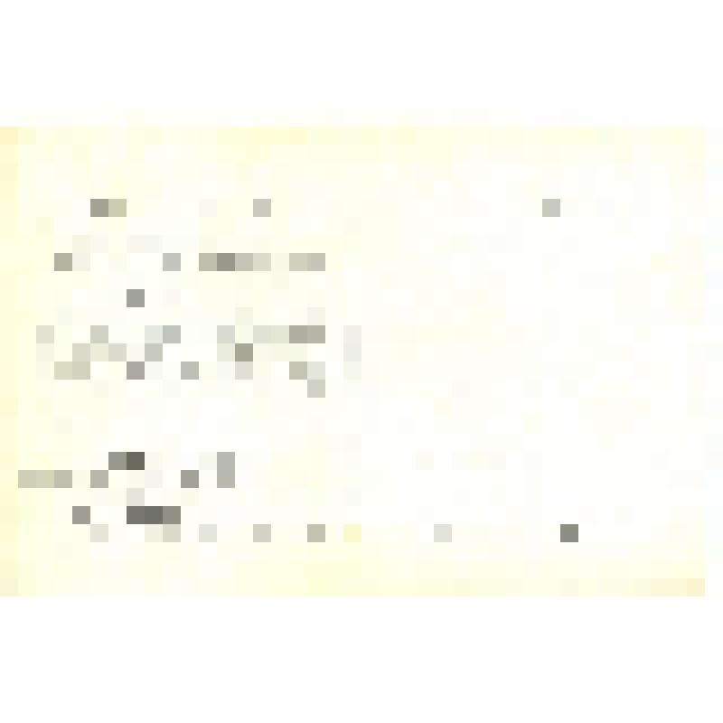 Фото-открытка. Элина Быстрицкая