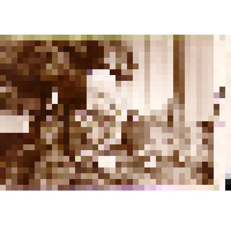 Фотография  внука Мустафина Г.С