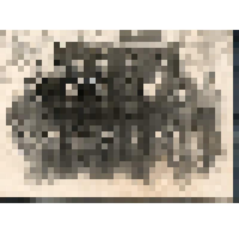 Фотография. Правление колхоза им. Кирова. 1954 г. На фото мужчины и женщины средних лет. На фото дата