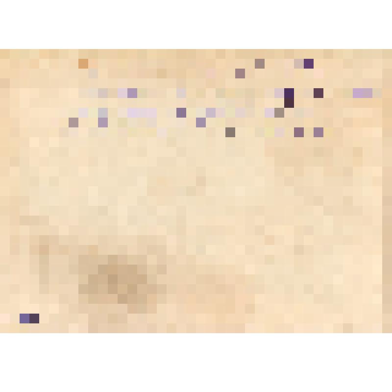 Фотография. Правление колхоза им. Кирова. 1954 г. На фото мужчины и женщины средних лет. На фото дата