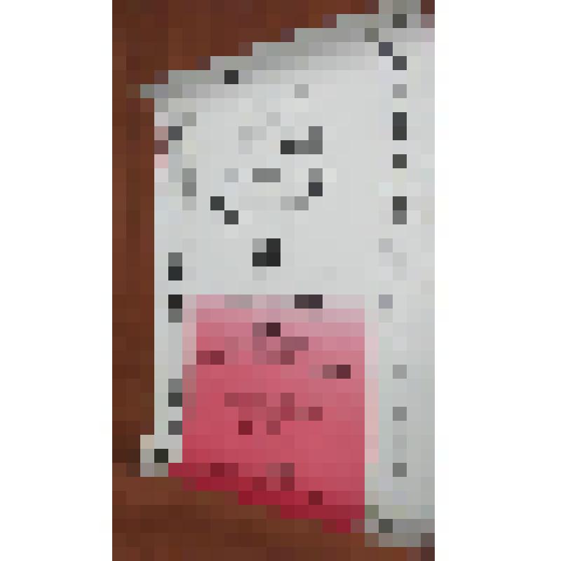 Афиша. Литературный вечер, посвященный открытию Дней российской литературы в Рязанской области к IV Всесоюзному Есенинскому празднику поэзии. 28 сентября Концертный  зал имени С. Есенина. Типография издательства "Коммунар", г. Тула. Литературный вечер, по