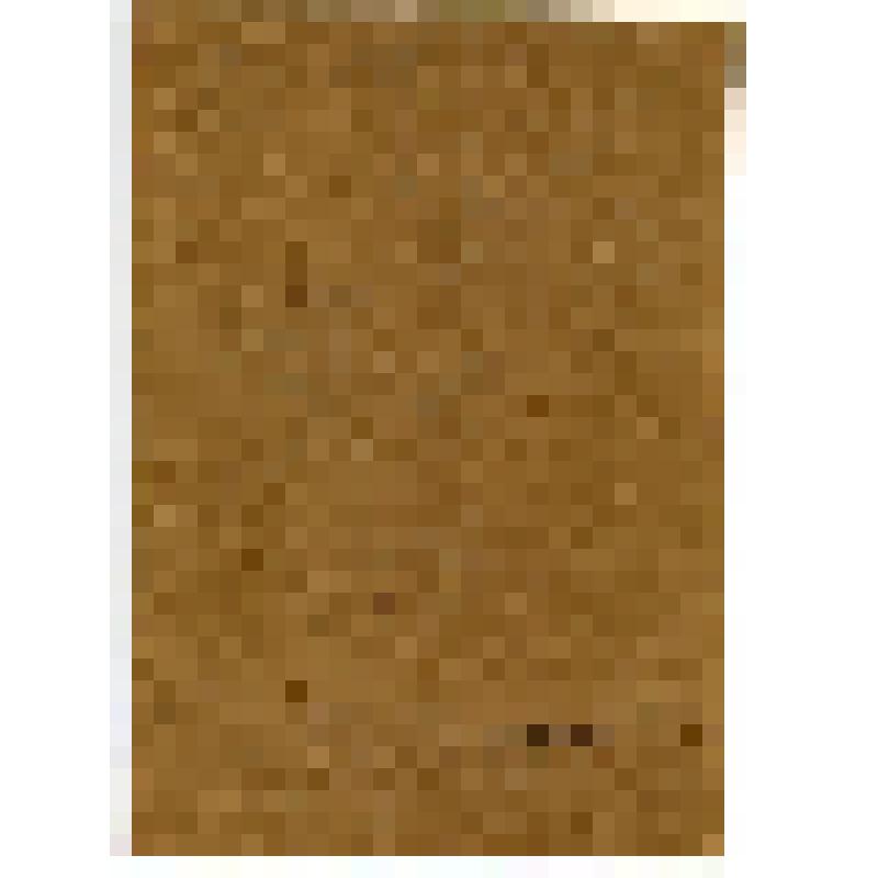 Рисунок. Далматов монастырь