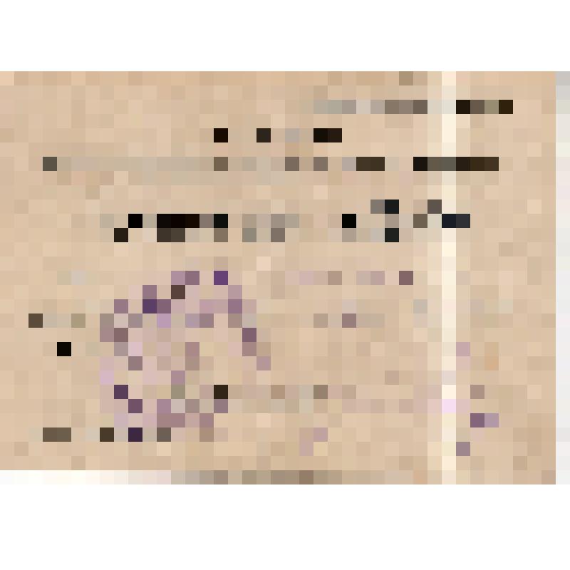 Гостевой билет N 247 Р. Липской на заседания VI съезда РКСМ