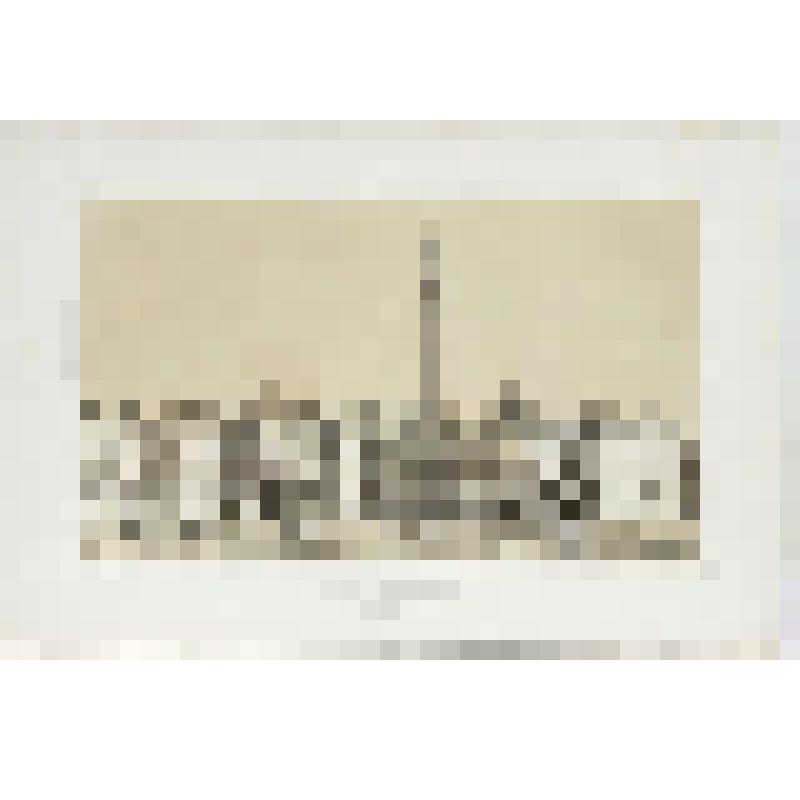 Литография. "Санкт-Петербург. Александрийская колонна и императорский Зимний дворец."