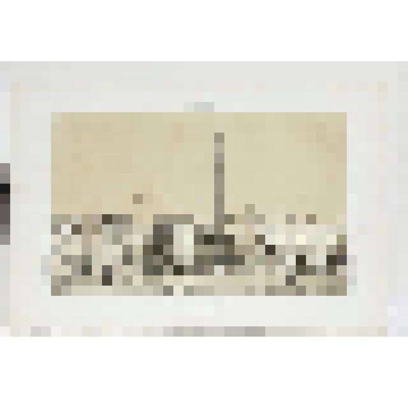 Литография. "Санкт-Петербург. Александрийская колонна и императорский Зимний дворец."