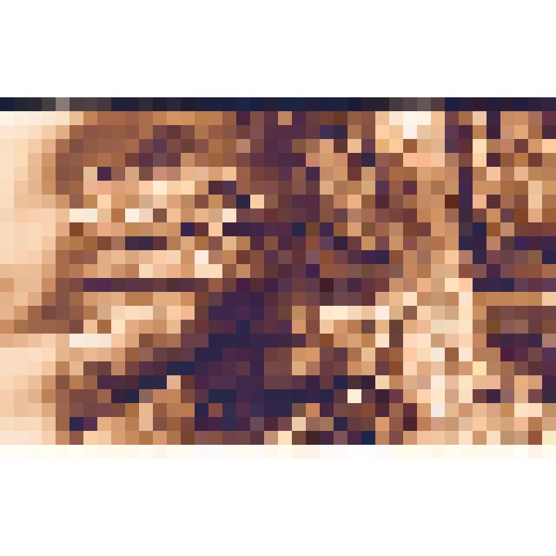 Фотонегатив черно-белый по истории музея-заповедника       "Томская Писаница"