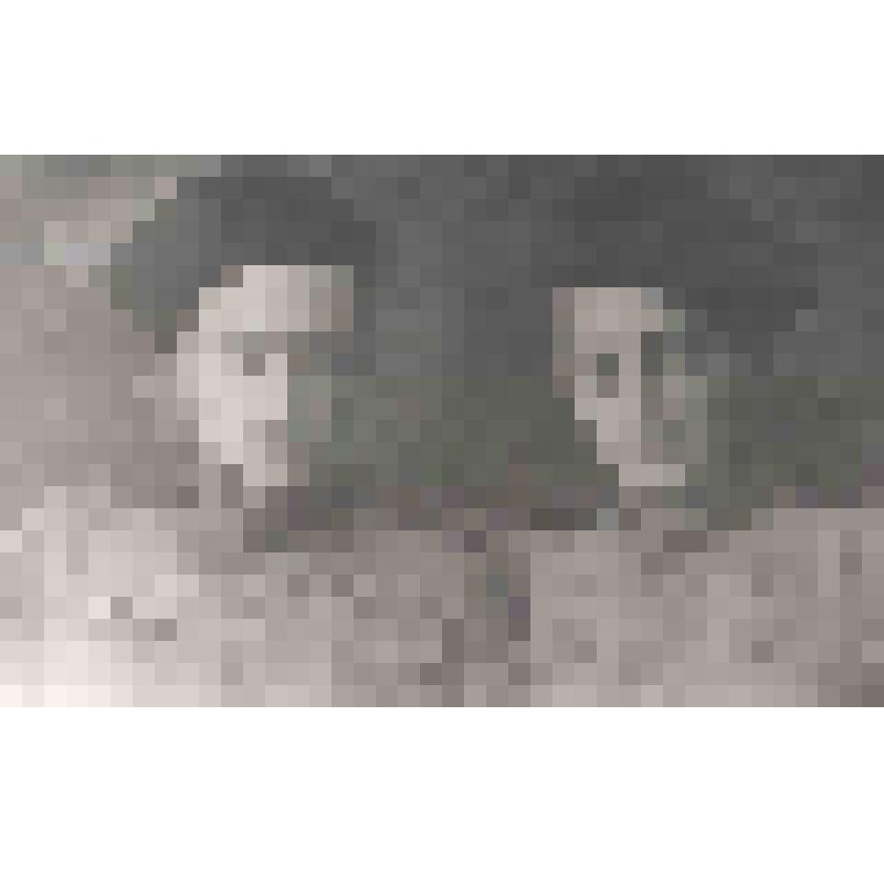 Фотопортрет: Трофименко В.С. (слева) и Бучный Н.А.(справа), казаки 4 гв. КККК