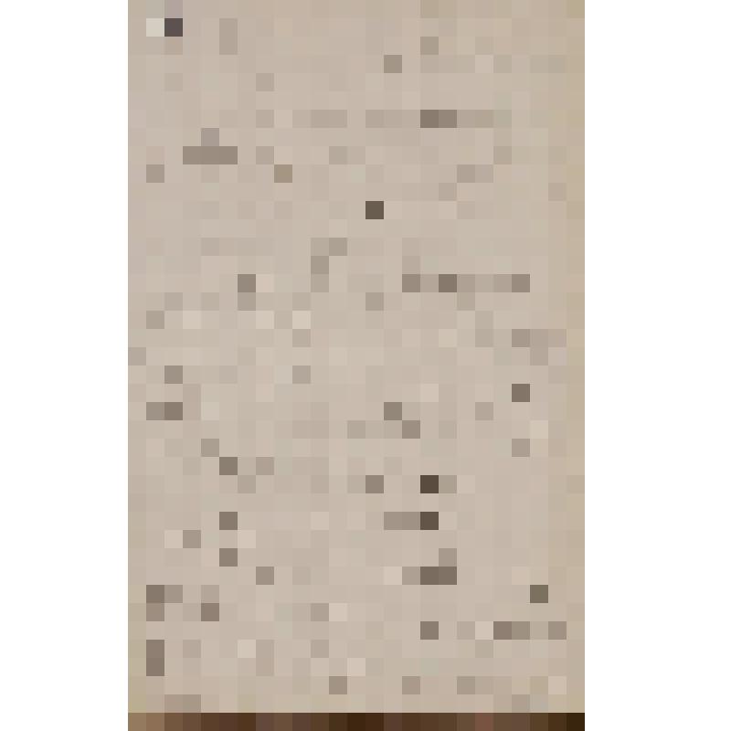 Кашперов Владимир Никитич. Письмо Островскому А. Н. о пьесе "Дмитрий Самозванец и Василий Шуйский"