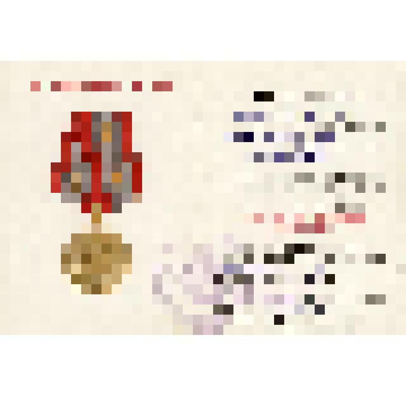 Удостоверение к юбилейной медали "60 лет Вооруженных Сил СССР" на имя Краснянского Вениамина Лейбовича