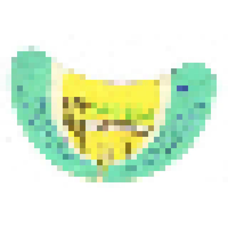 Кольеретка-этикетка горловая к напитку «Тархун» производства Саратовского пивобезалкогольного завода, из коллекции кольереток – этикеток горловых к безалкогольным напиткам