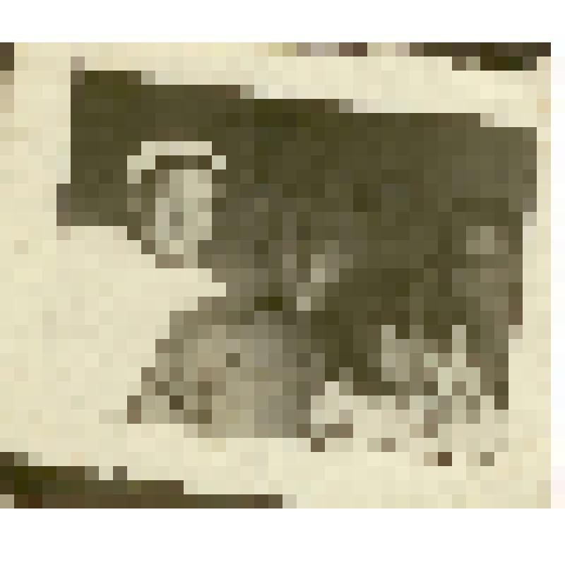 Фотография. Ванюсова Клавдия Ивановна (4-я слева), подавальщица госпиталя № 3313 г. Саратова, с ранбольным, Смирновой Марией, ассистентом врача-рентгенолога, и дочерью Верой