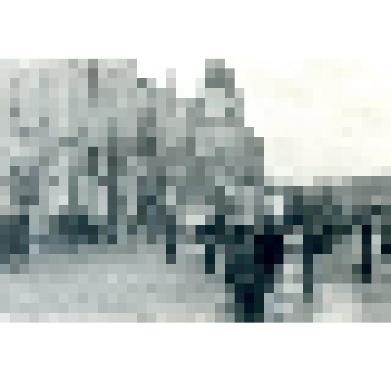 Фотография черно-белая. Колонна демонстрантов Барнаульского станкостроительного завода. Из фотоальбома Л.И. Борисенко № 48 "Барнаул - жизнь"