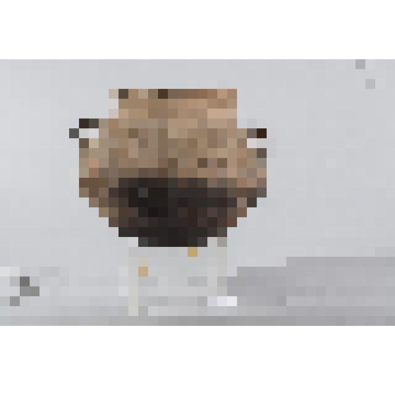 Сосуд