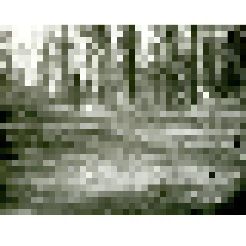 Фотография. Чумища дымокуров для оленей